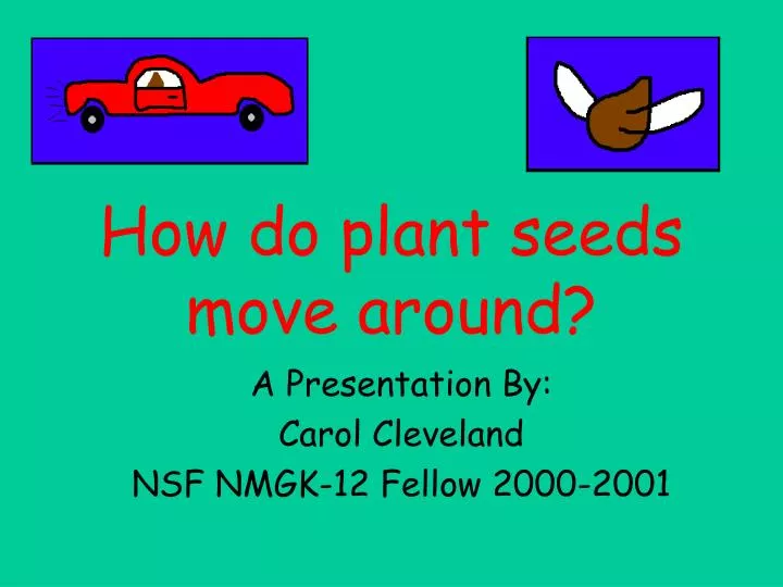 how do plant seeds move around