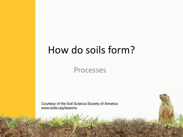 how do soils form