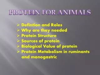 PROTEIN FOR ANIMALS