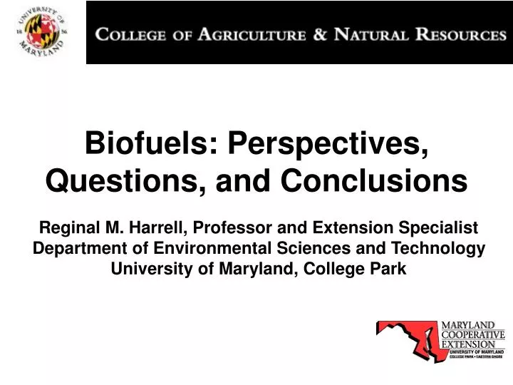 biofuels perspectives questions and conclusions