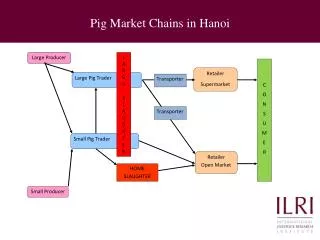 Pig Market Chains in Hanoi