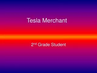 Tesla Merchant