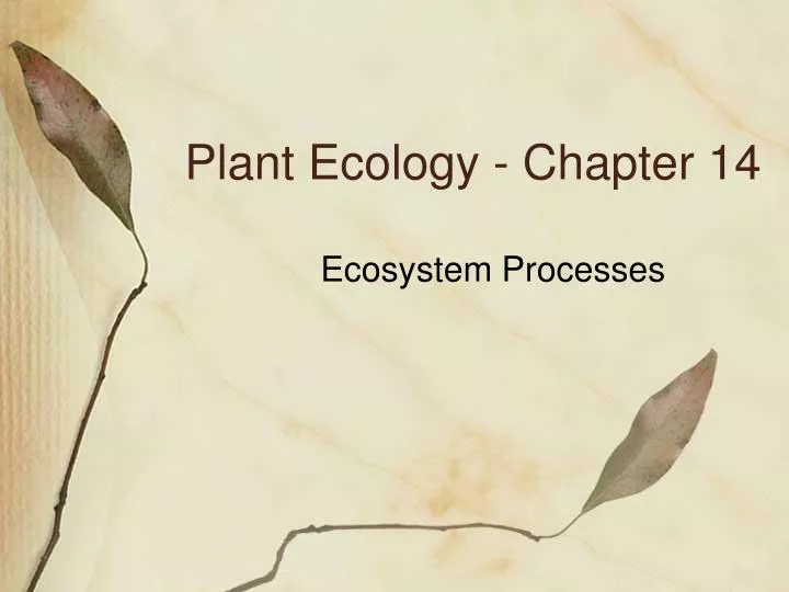 plant ecology chapter 14
