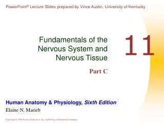 Fundamentals of the Nervous System and Nervous Tissue Part C