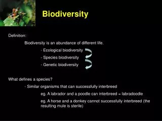 Definition: 	Biodiversity is an abundance of different life. 		- Ecological biodiversity
