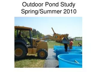 Outdoor Pond Study Spring/Summer 2010