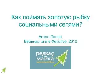 e xecutive 2010