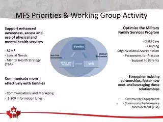 MFS Priorities &amp; Working Group Activity