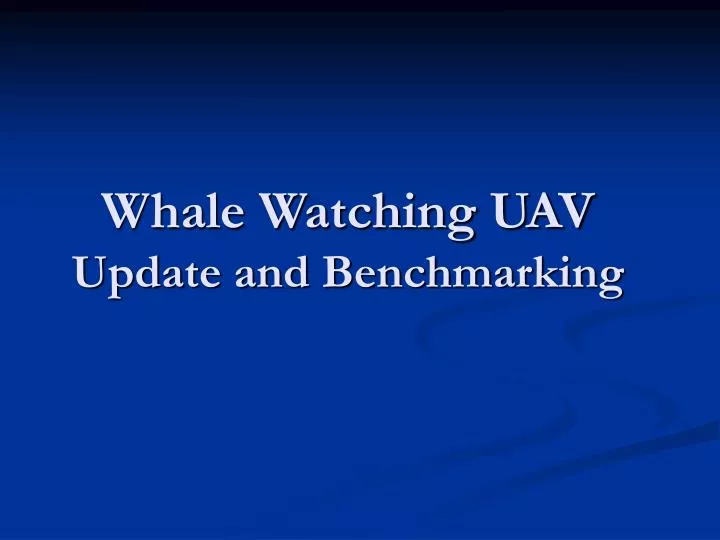 whale watching uav update and benchmarking