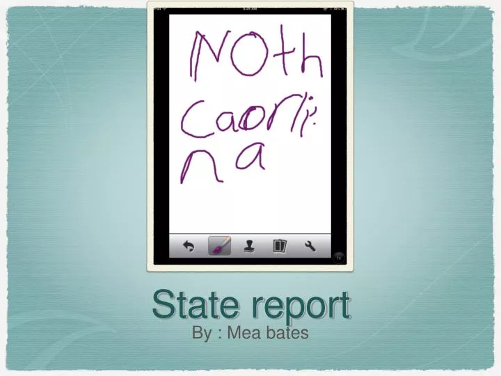 state report