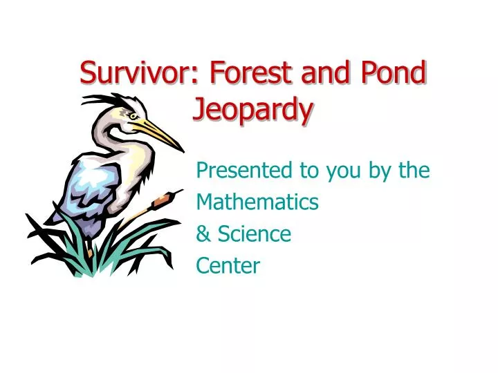survivor forest and pond jeopardy