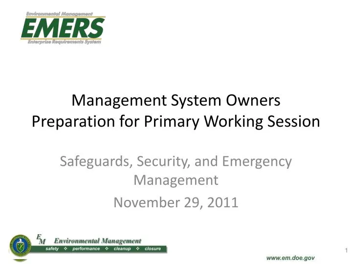 management system owners preparation for primary working session