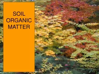 SOIL ORGANIC MATTER