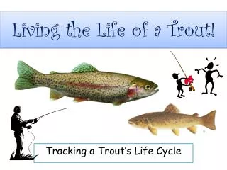 Living the Life of a Trout!