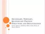 Secondary, Tertiary, Quaternary Protein Structure and Denaturation - slide 1
