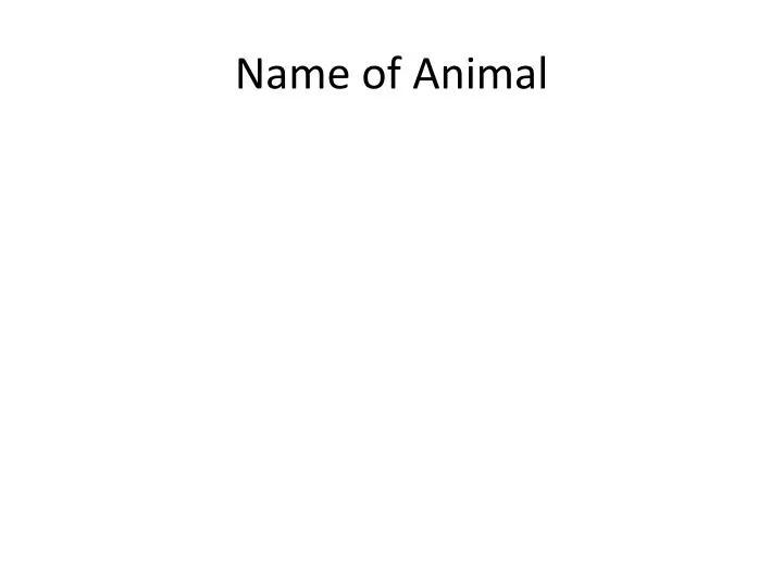 name of animal