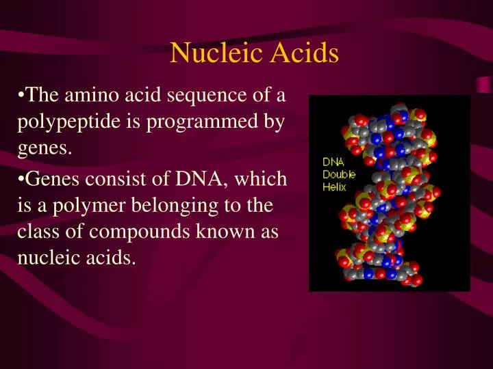 nucleic acids