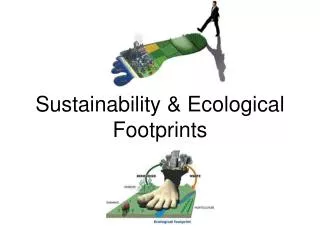 Sustainability &amp; Ecological Footprints