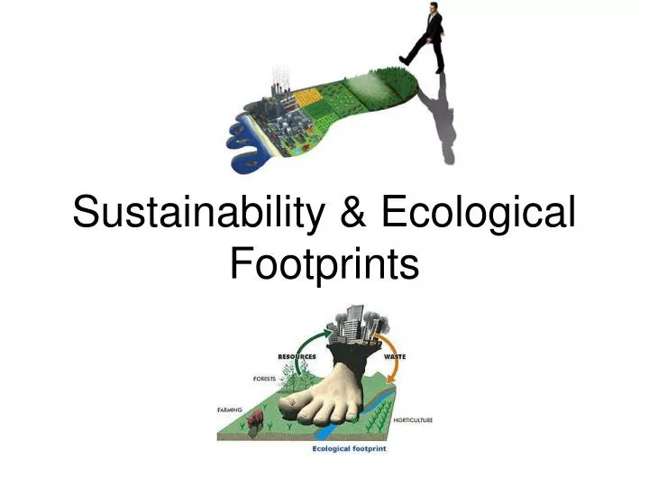 sustainability ecological footprints