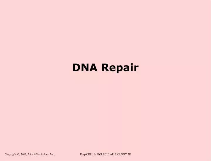 dna repair