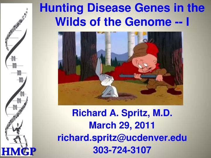 hunting disease genes in the wilds of the genome i