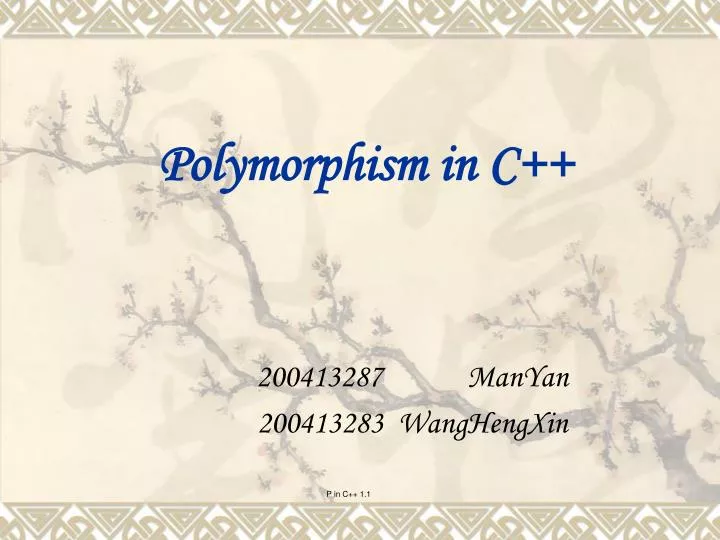 polymorphism in c