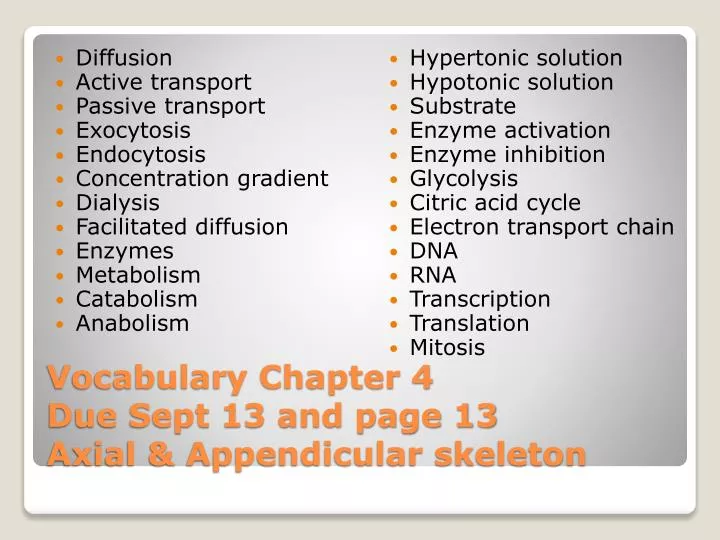 vocabulary chapter 4 due sept 13 and page 13 axial appendicular skeleton