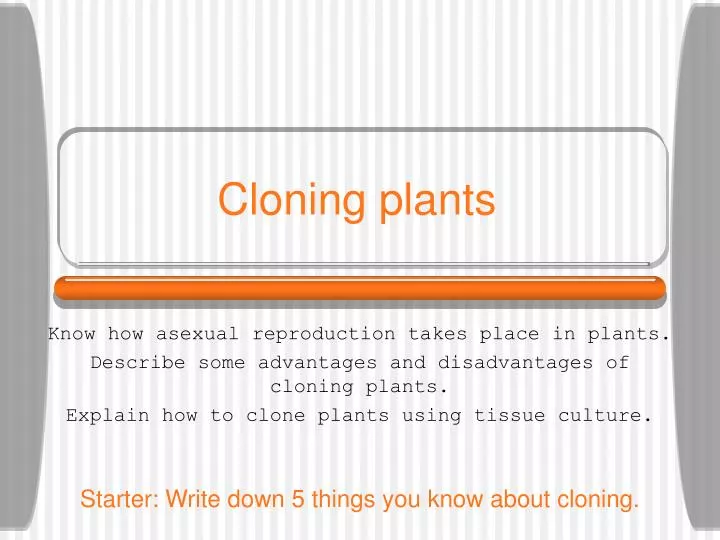 cloning plants
