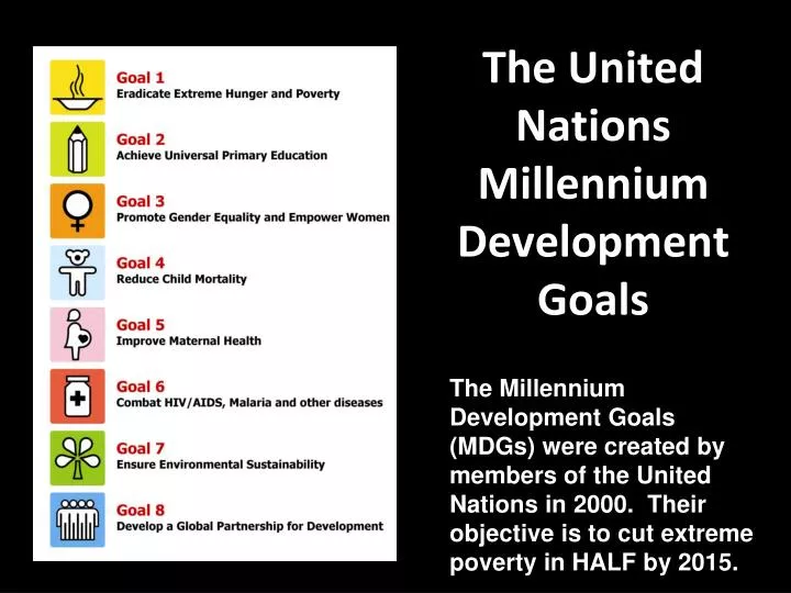 the united nations millennium development goals