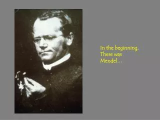In the beginning, There was Mendel…