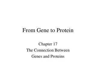 From Gene to Protein