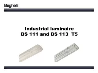 Industrial luminaire BS 111 and BS 113 T5