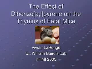 The Effect of Dibenzo[a,l]pyrene on the Thymus of Fetal Mice