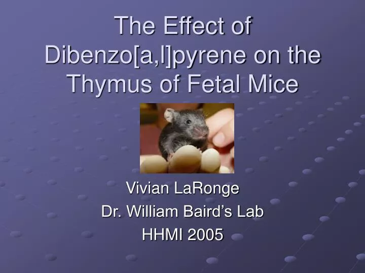 the effect of dibenzo a l pyrene on the thymus of fetal mice