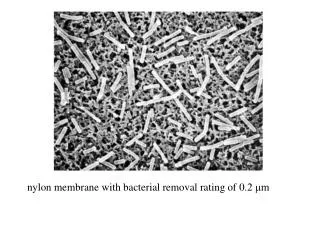 nylon membrane with bacterial removal rating of 0.2 ?m