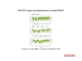 K Howan et al. Nature 000 , 1-4 (2012) doi:10.1038/nature11430