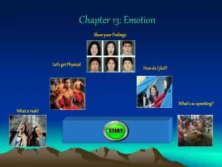 Chapter 13: Emotion
