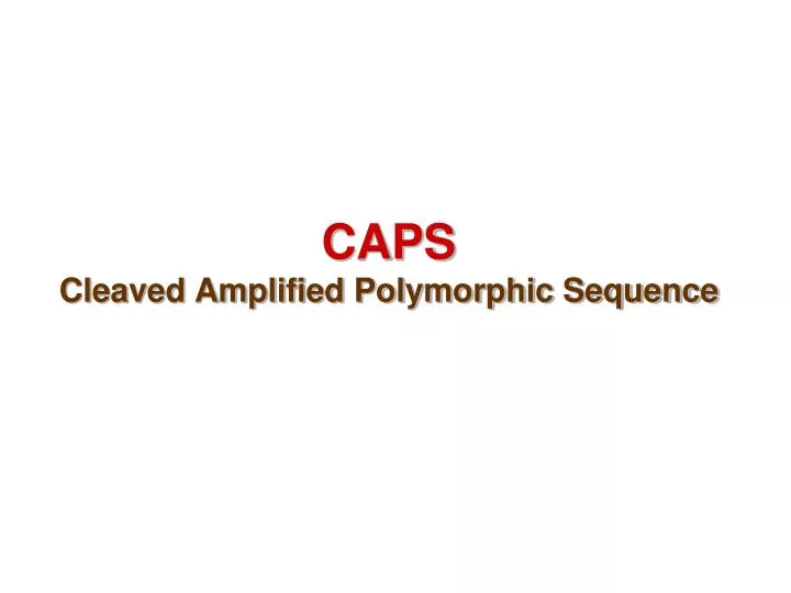 caps cleaved amplified polymorphic sequence