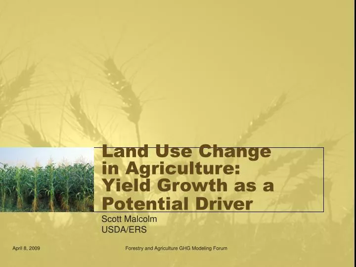 land use change in agriculture yield growth as a potential driver