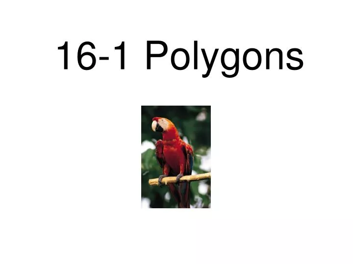 16 1 polygons