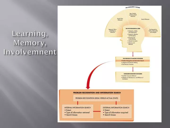 learning memory involvemnent