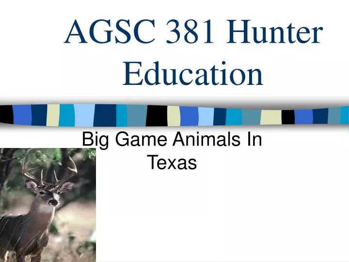 agsc 381 hunter education