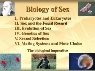 Biology of Sex