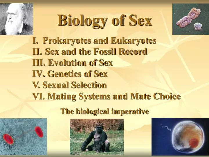 biology of sex