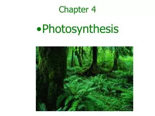chapter 4