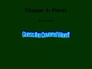Chapter 4: Plants Mrs. Campogni
