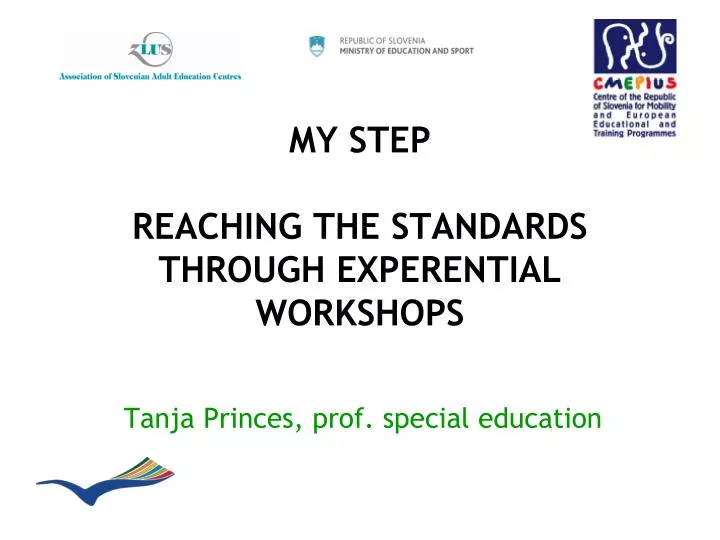 my step reaching the standards through experential workshops