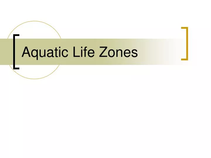 aquatic life zones