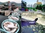 Water pollution - slide 1
