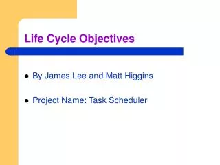 Life Cycle Objectives